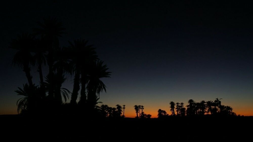 Фото Camp Sahara Nights