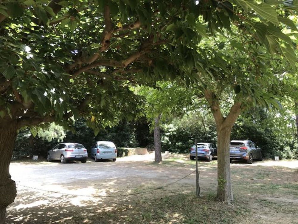 Фото Résidence les Caraibes