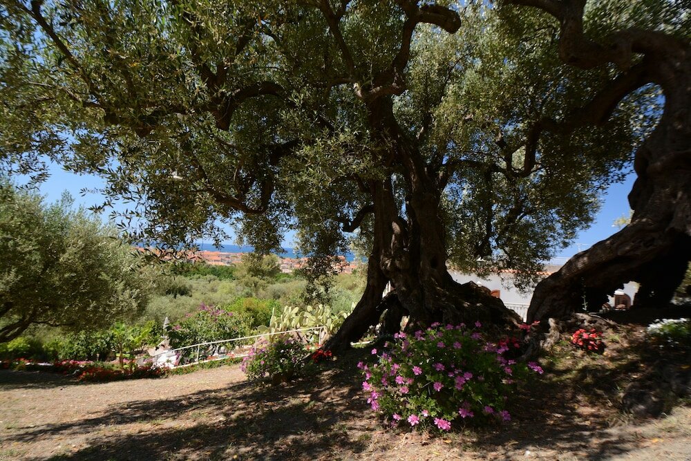 Фото Il Paradiso di Hyele