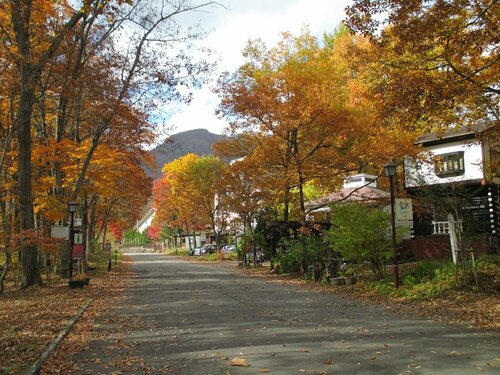 Гостиница Pension Hakuba ‘70