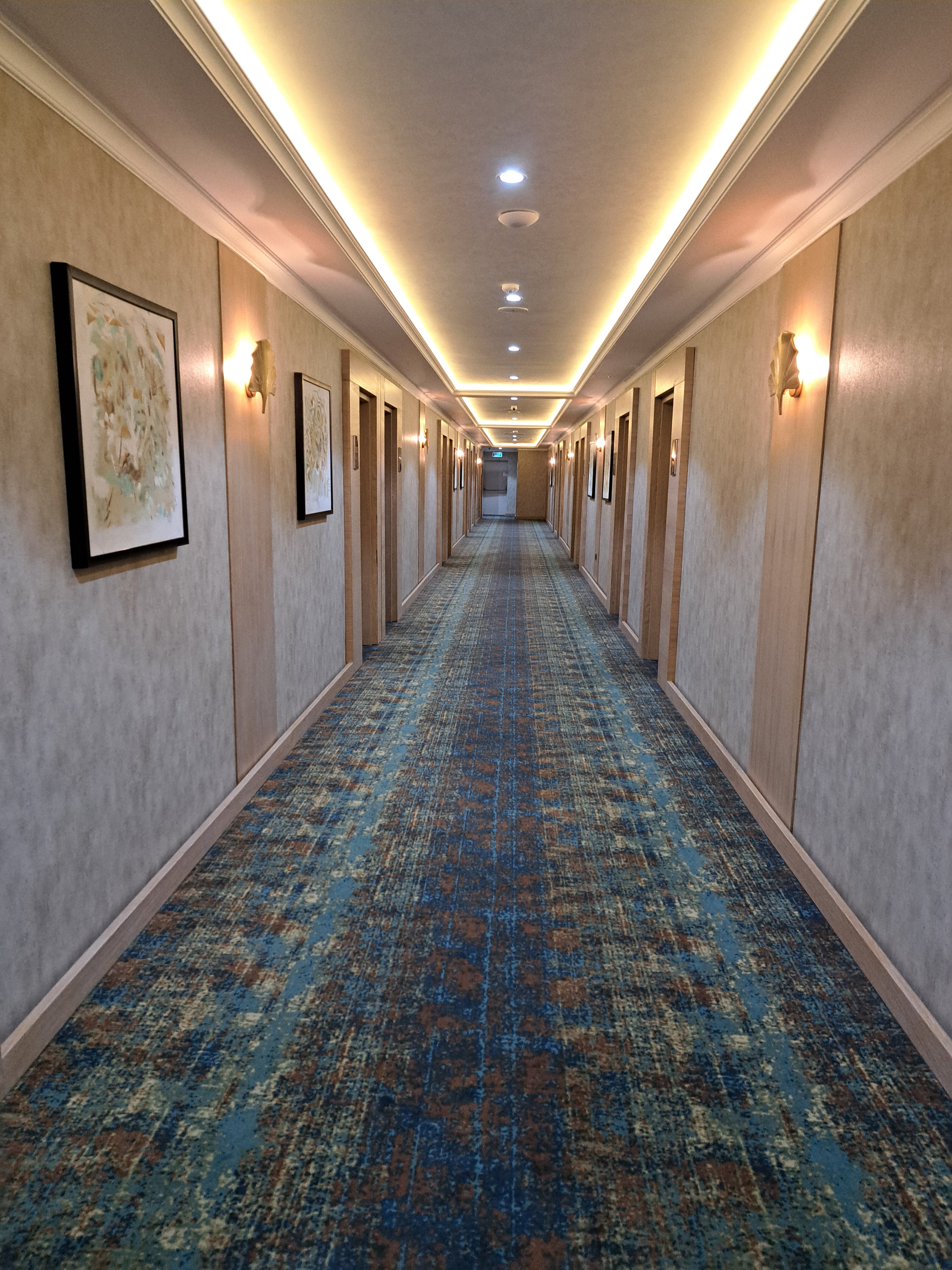 Фото Iris Hotel Baku