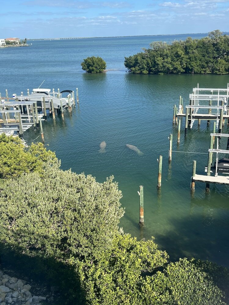 Фото Tortuga Shoals