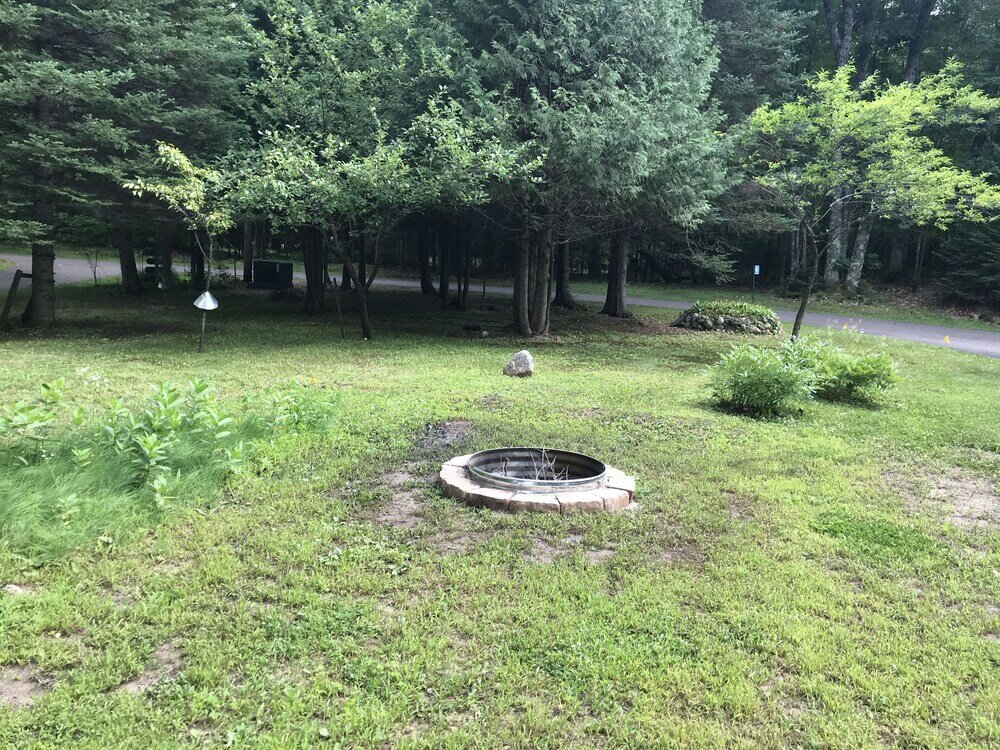 Фото Iggy & Al's Treehouse