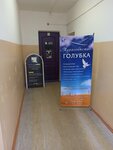 Golubka (Ulyanovsk, Goncharova Street, 32А), agencia de viajes