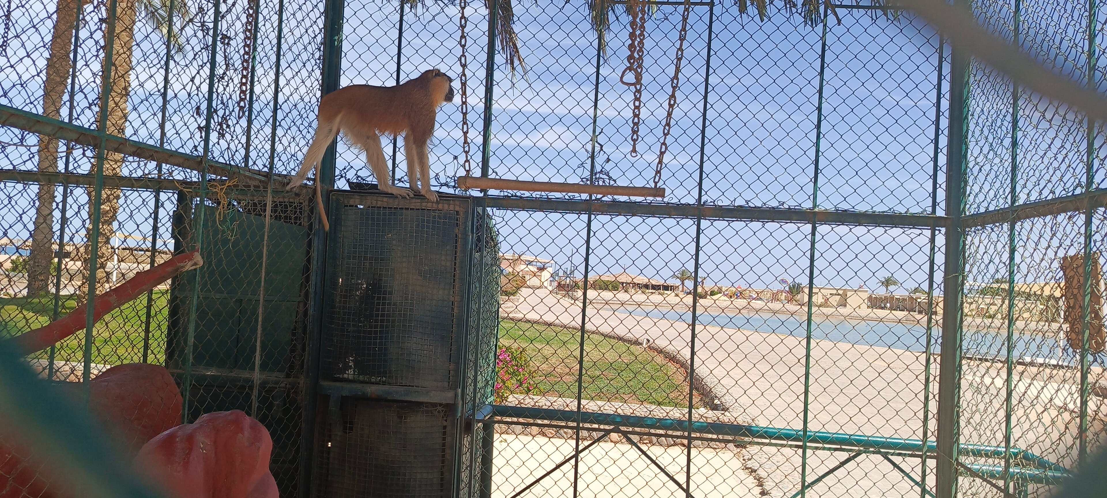 Фото Ali Baba Palace