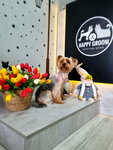 Happy Groom (Polyakovskoye shosse, 16К), pet salon