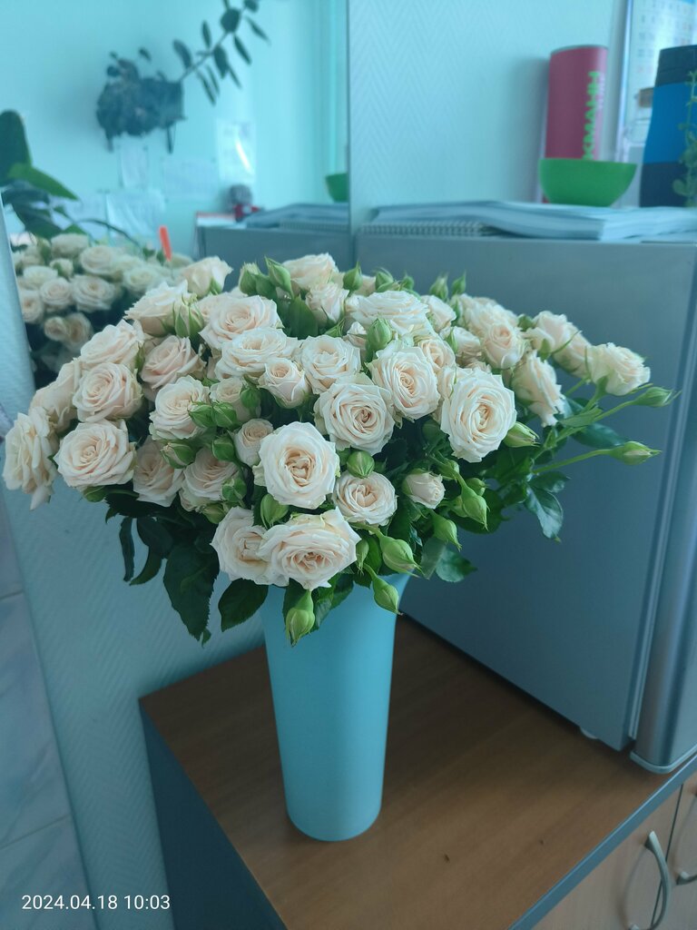 Наталья Красавина