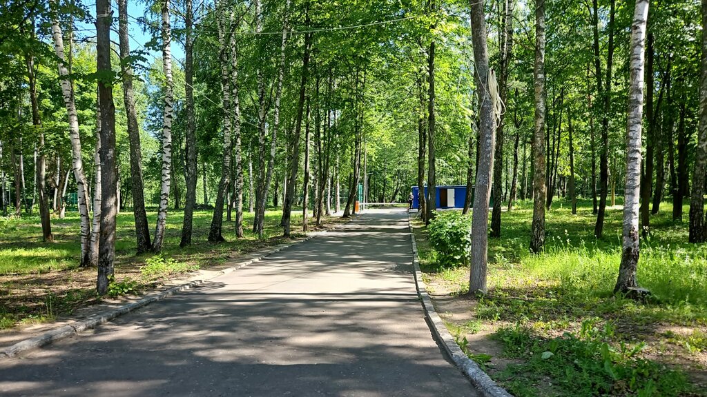 Детский лагерь отдыха Планета Английского, Москва и Московская область, фото