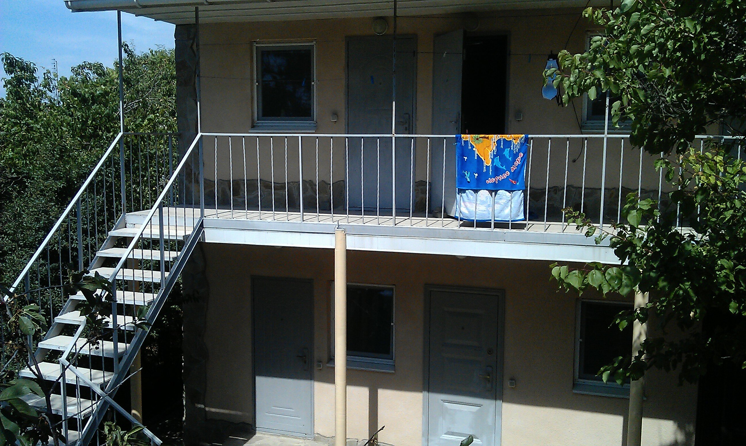 Фото Белая Чайка