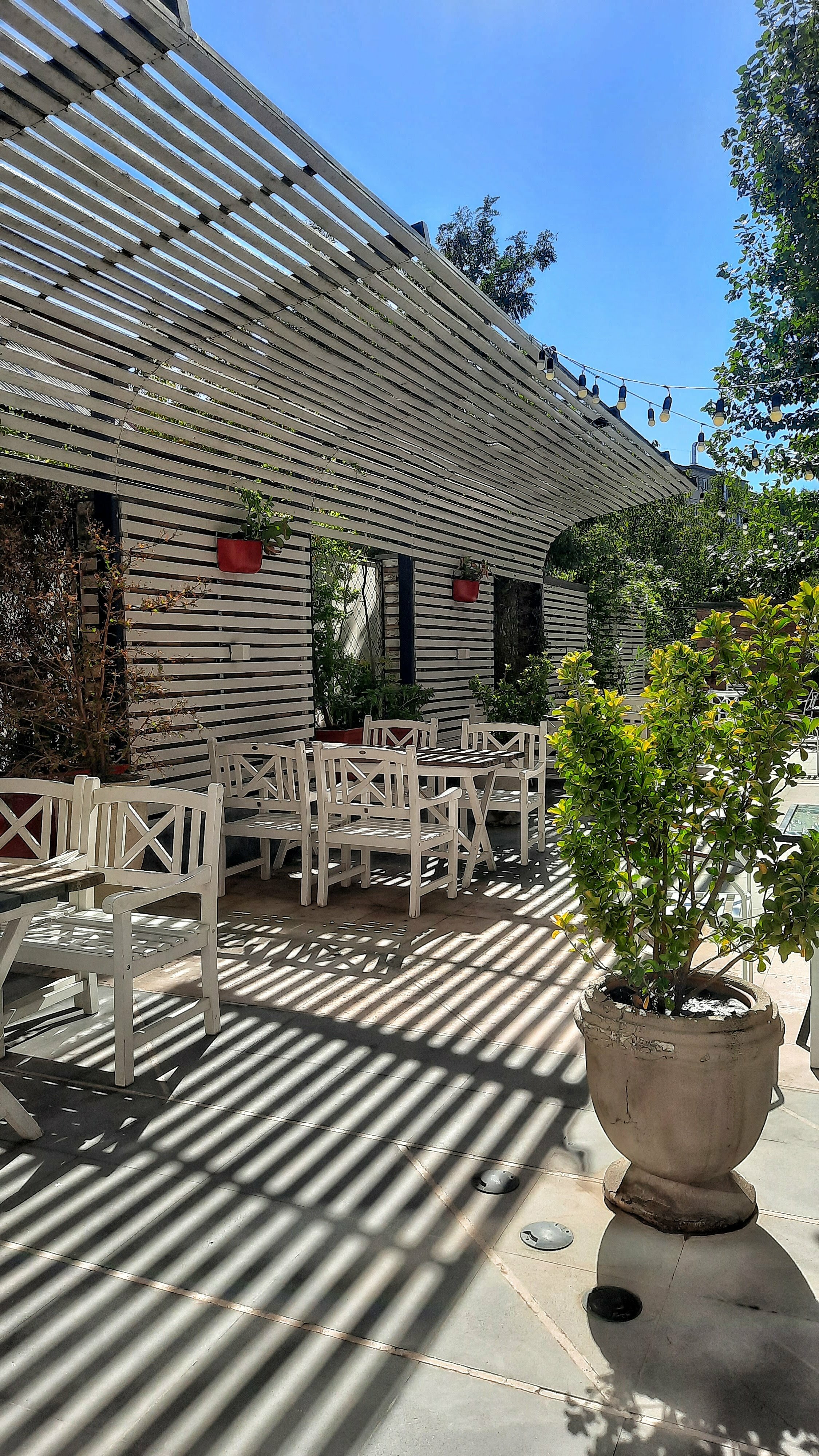 Фото Opera Suite Hotel