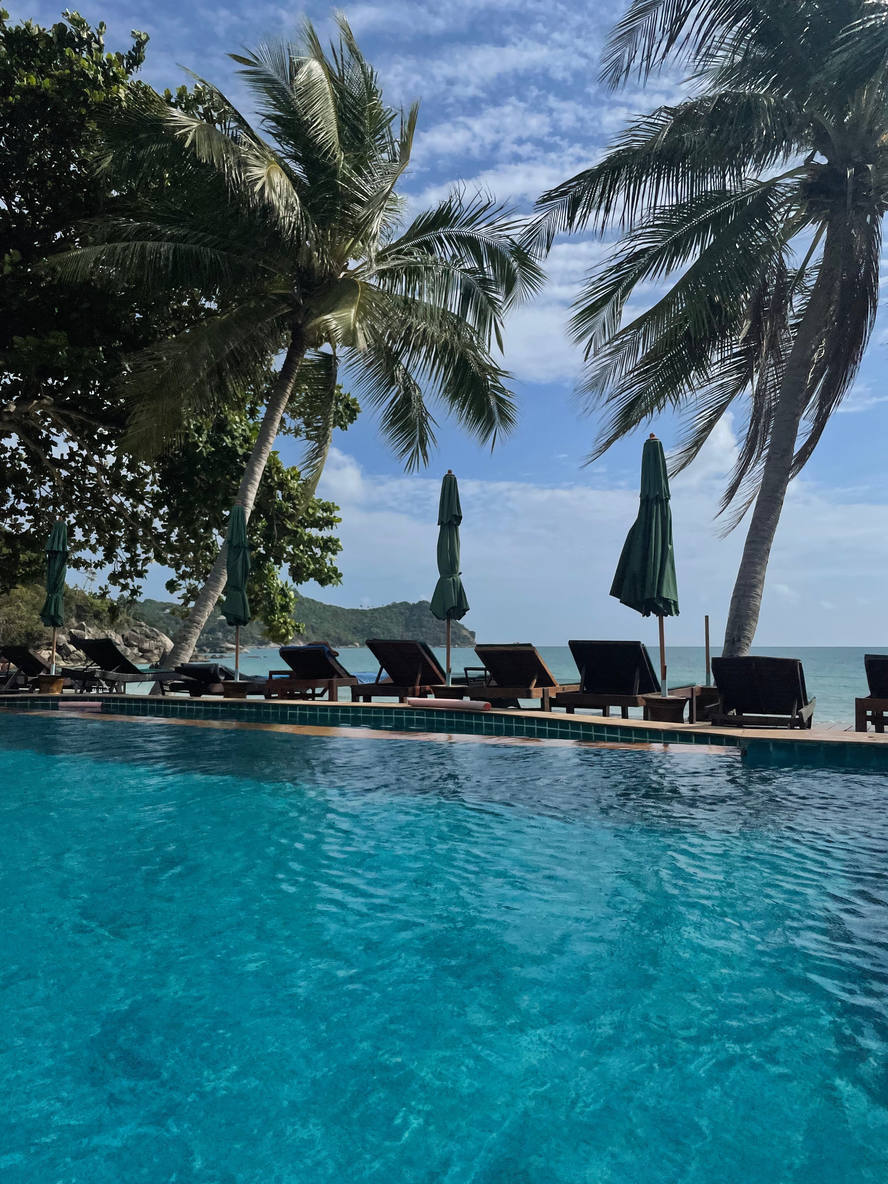 Фото Dreamland Resort