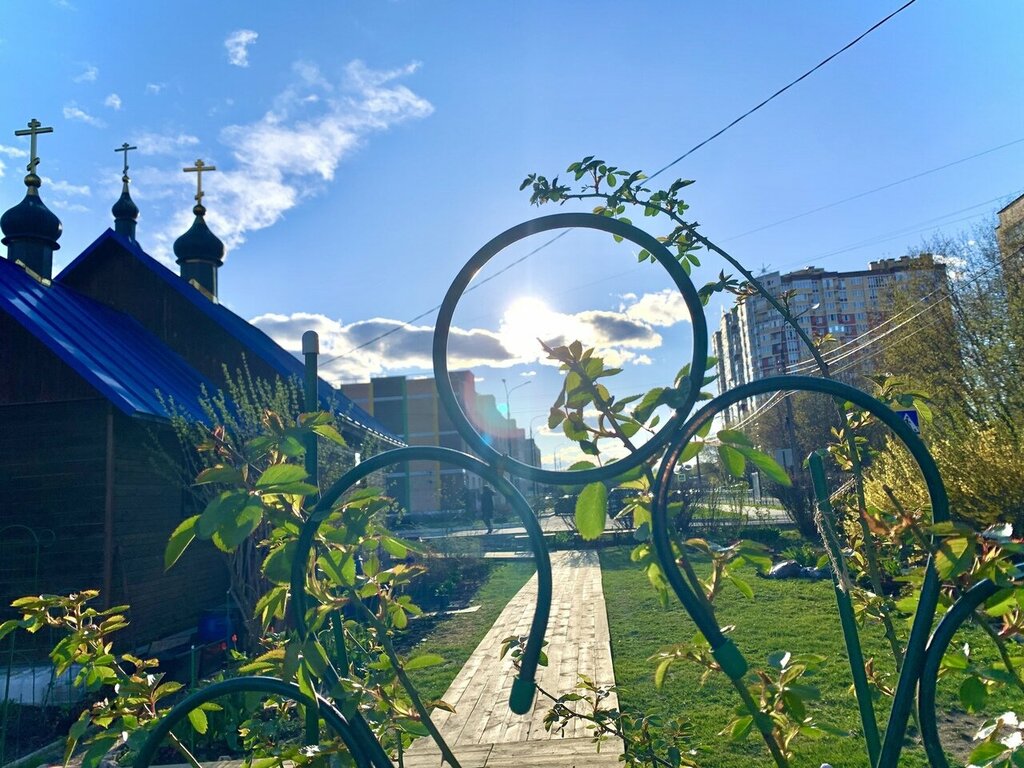 Православный храм Церковь Державной иконы Божией Матери, Ступино, фото