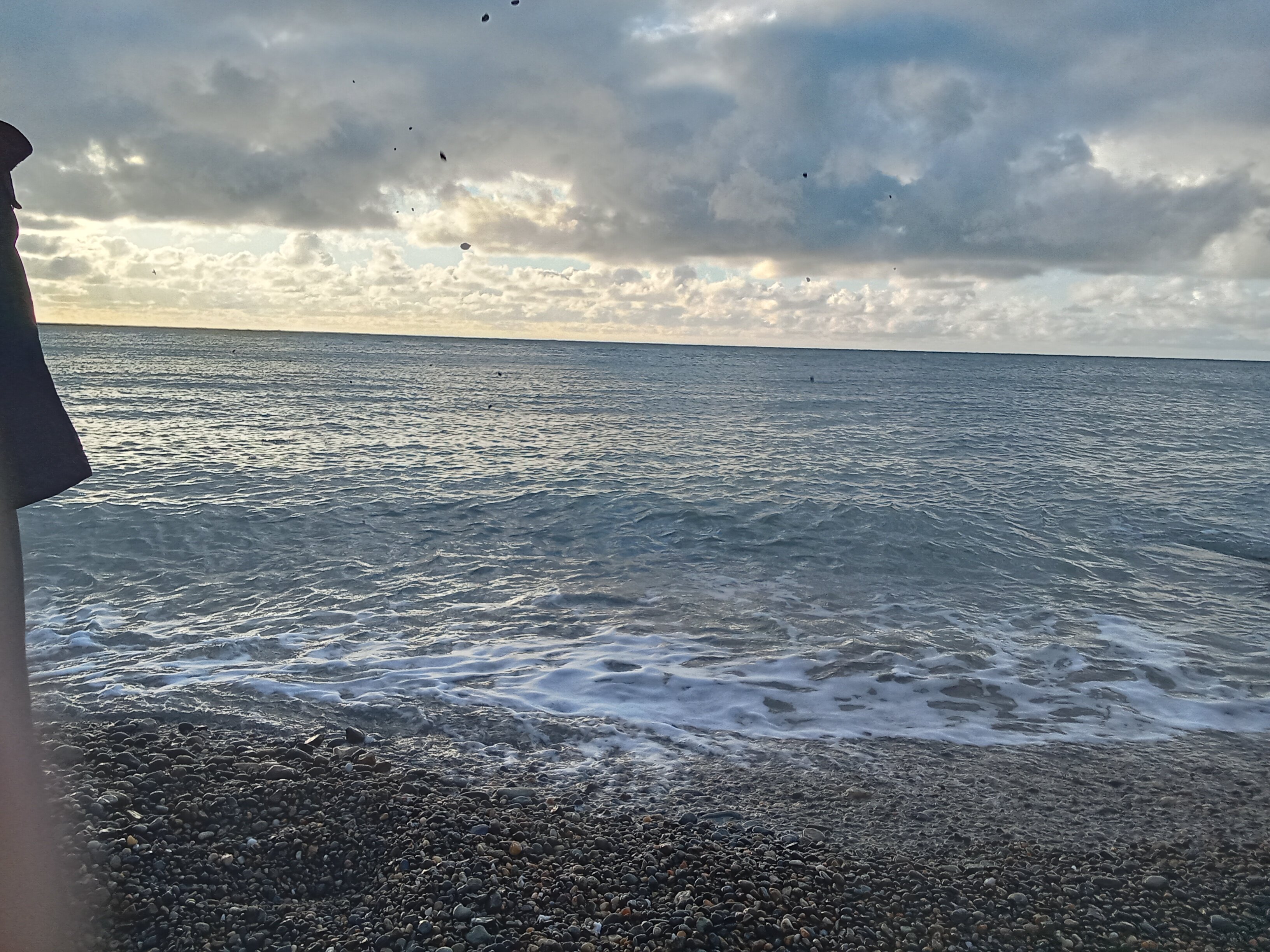 Фото Мирабель