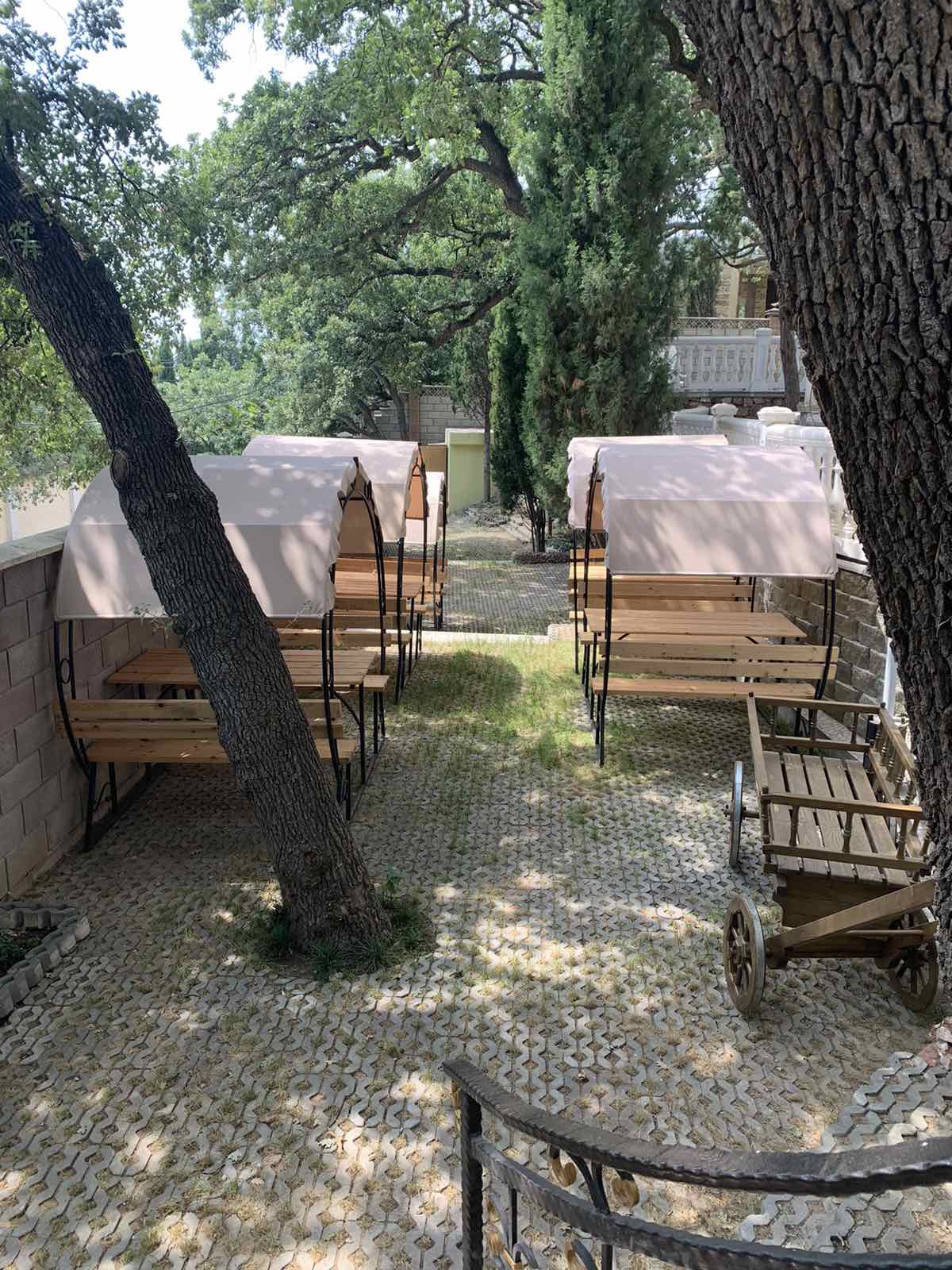 Фото Семь звезд