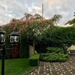 Фото Residential House