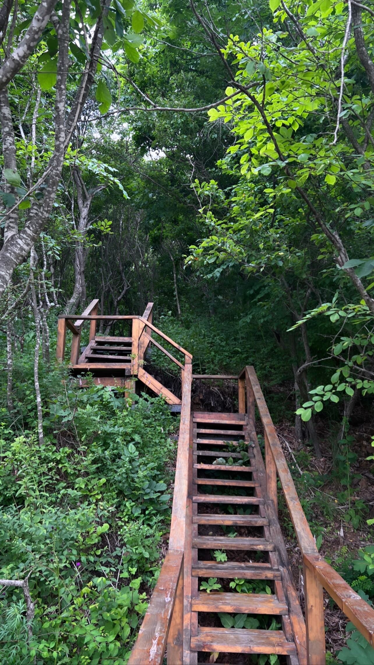 Фото Скаски