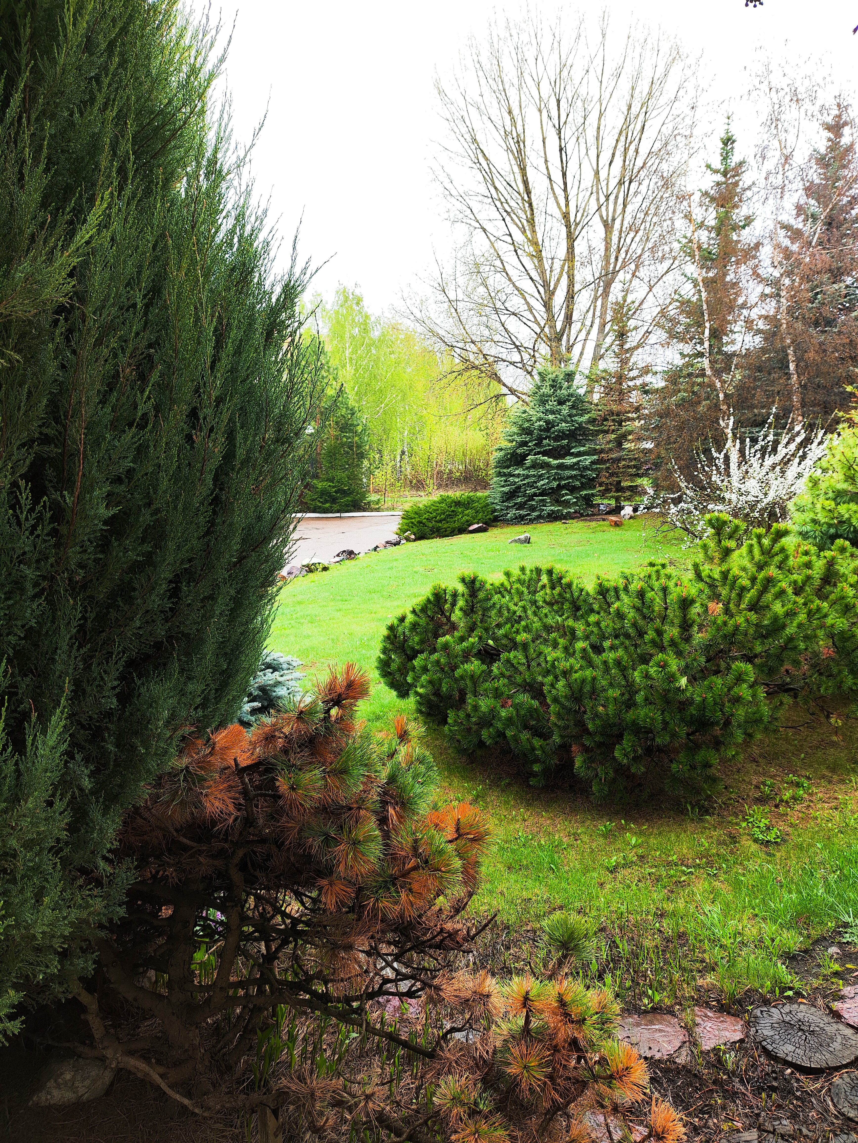 Фото Швейцарский дом