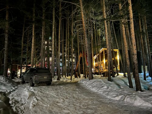 Dream Chalet — фото 2