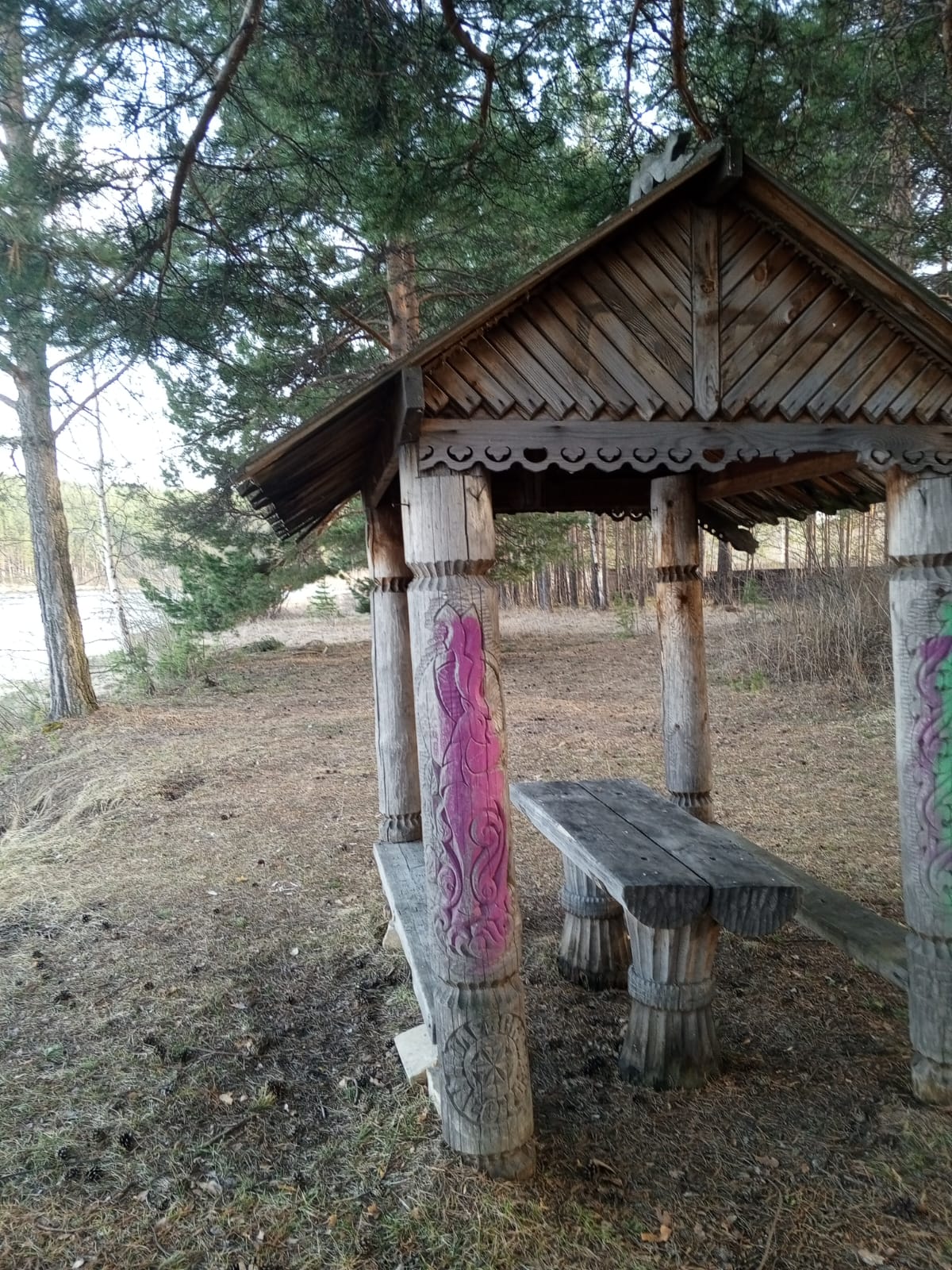 Фото Дача в соснах