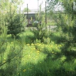 Гостиница Звездная по Владивостокскому шоссе в Районе имени Лазо