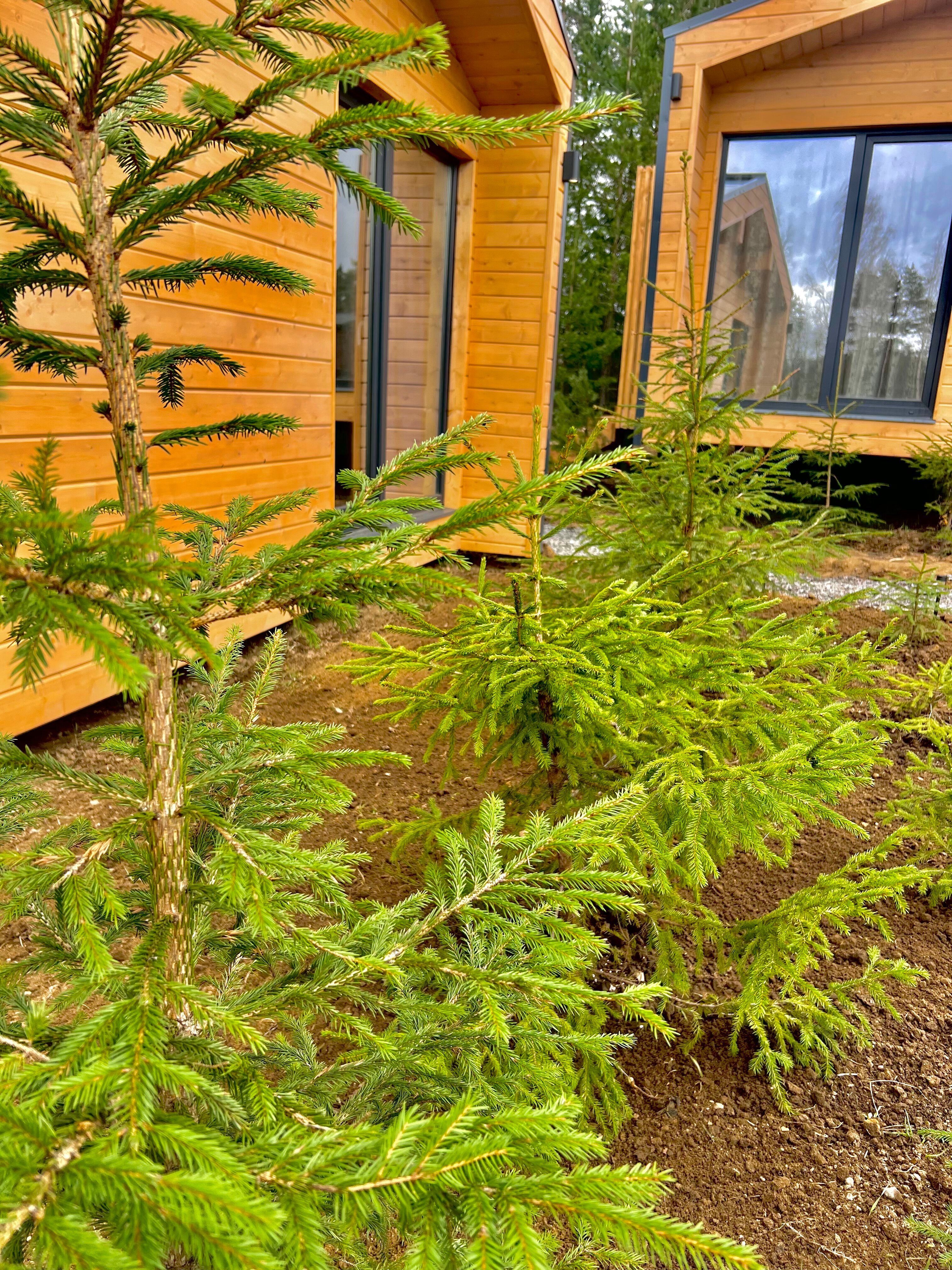 Фото Balance house