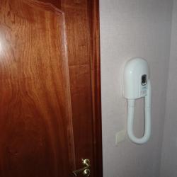 Фото Сорока