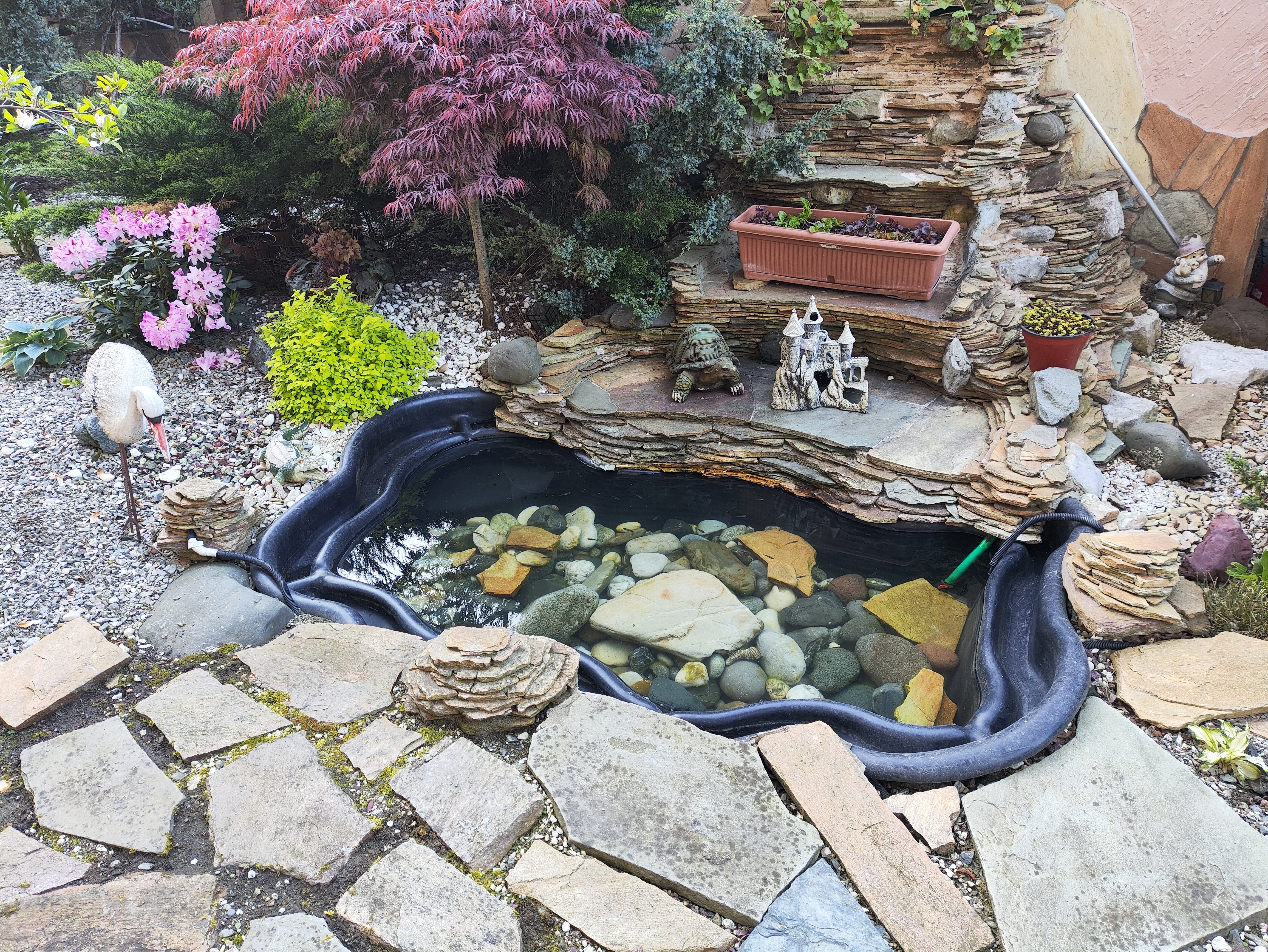 Фото У Оксаны