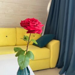 Фото Saltanhouse