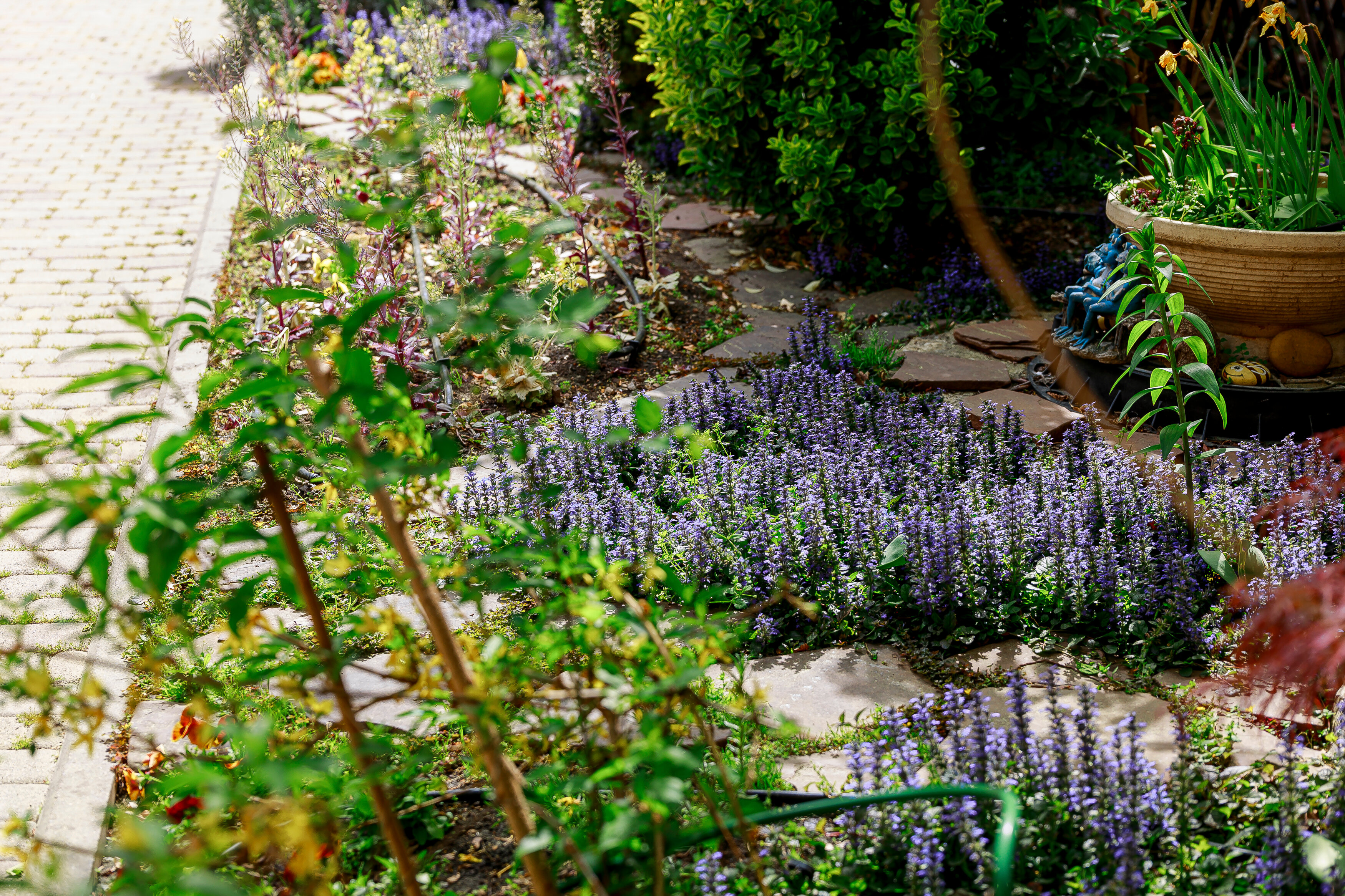 Фото На южном