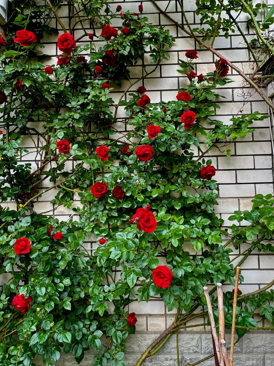 Фото 8-е Небо