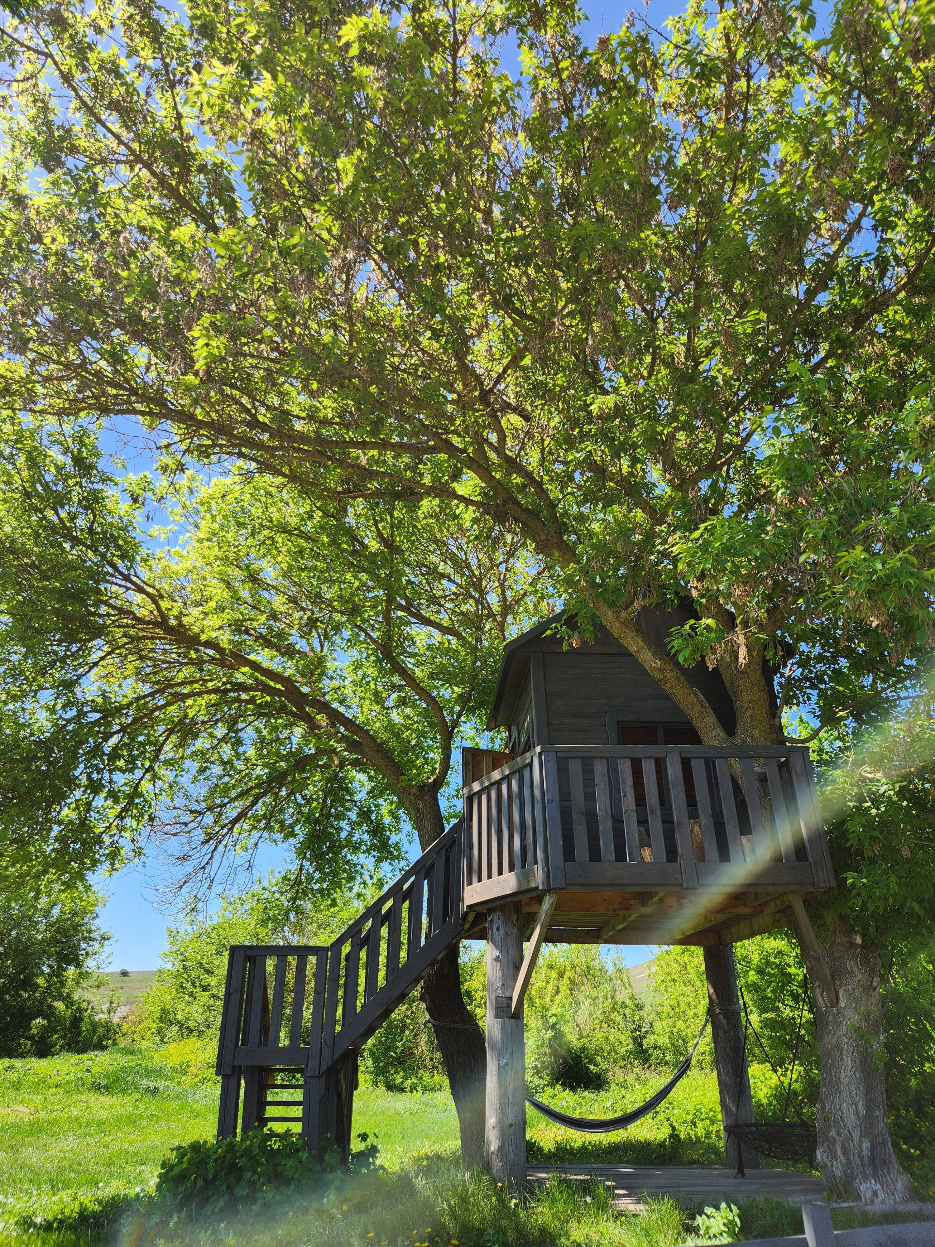 Фото Холки camp