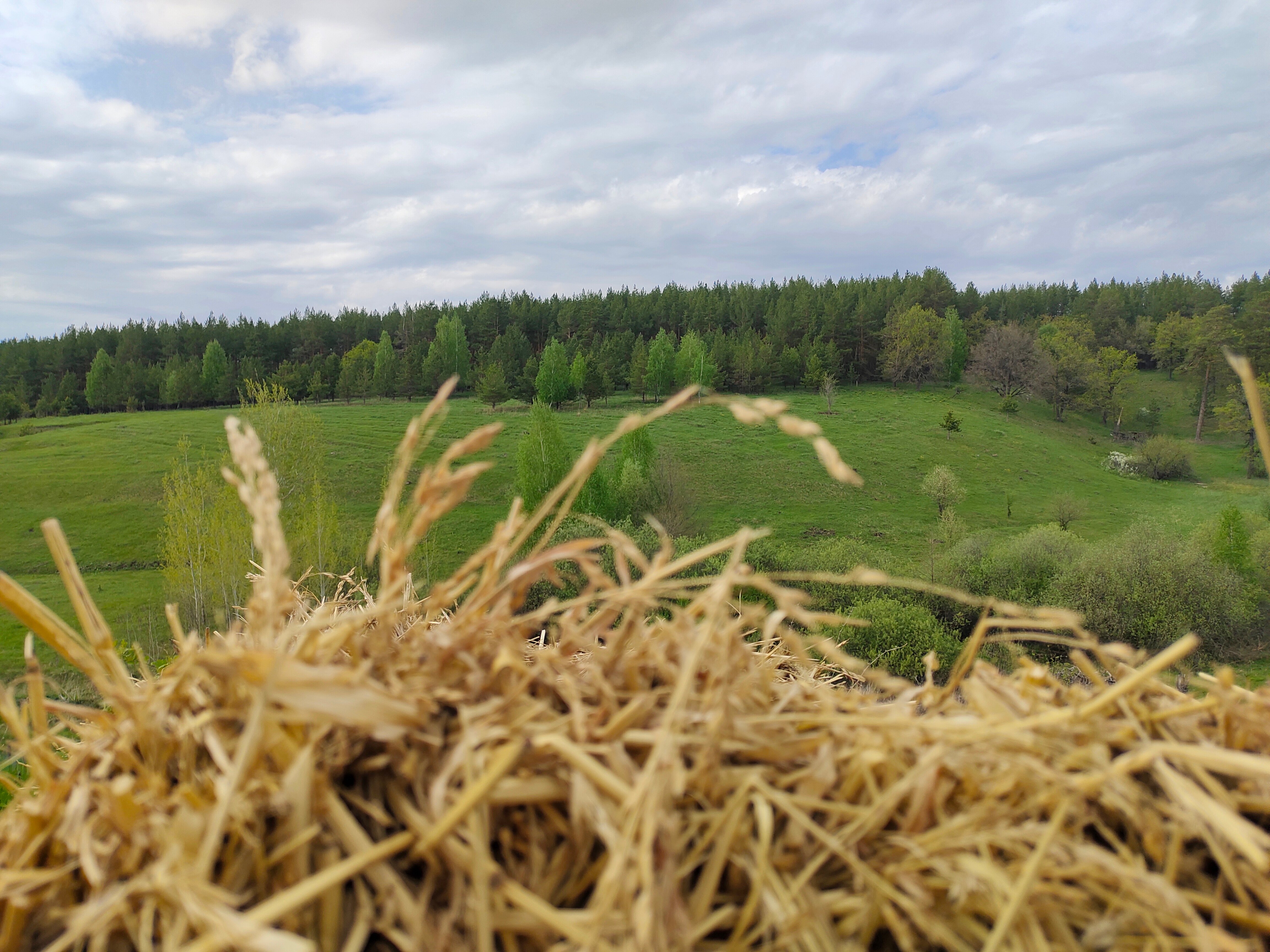 Фото Домик Пчеловода