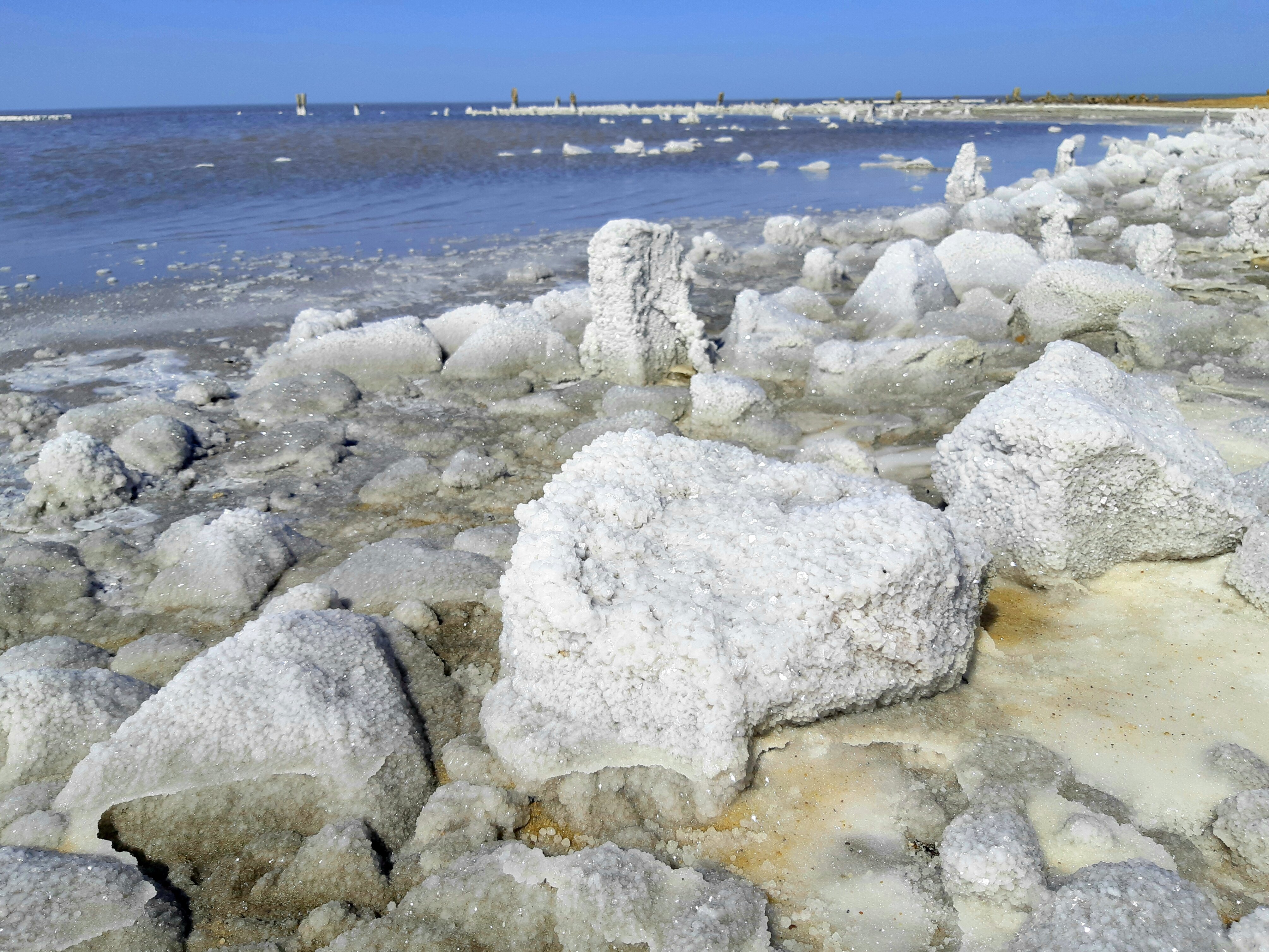 Фото Эльтон