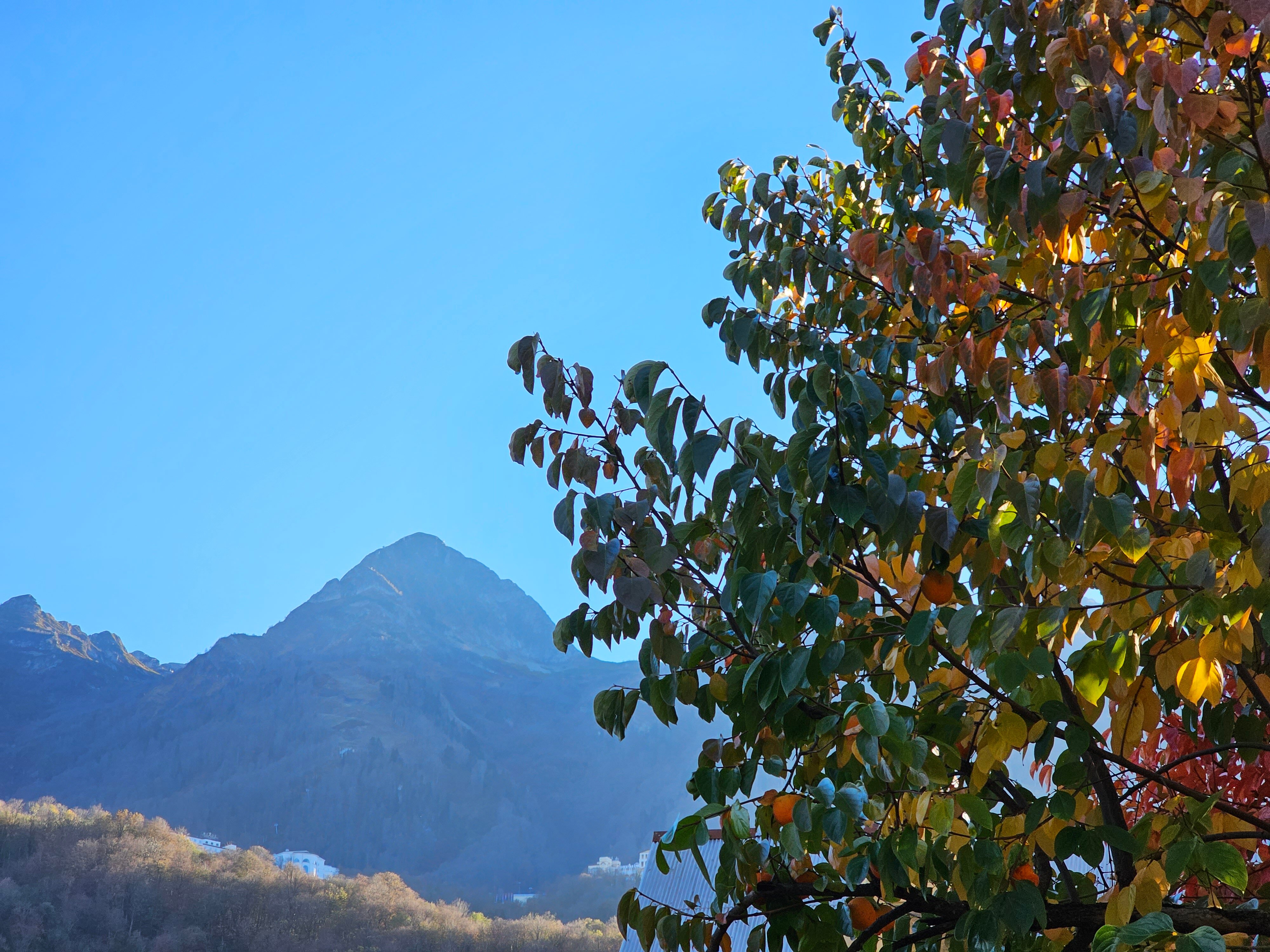 Фото Шале Тихое место