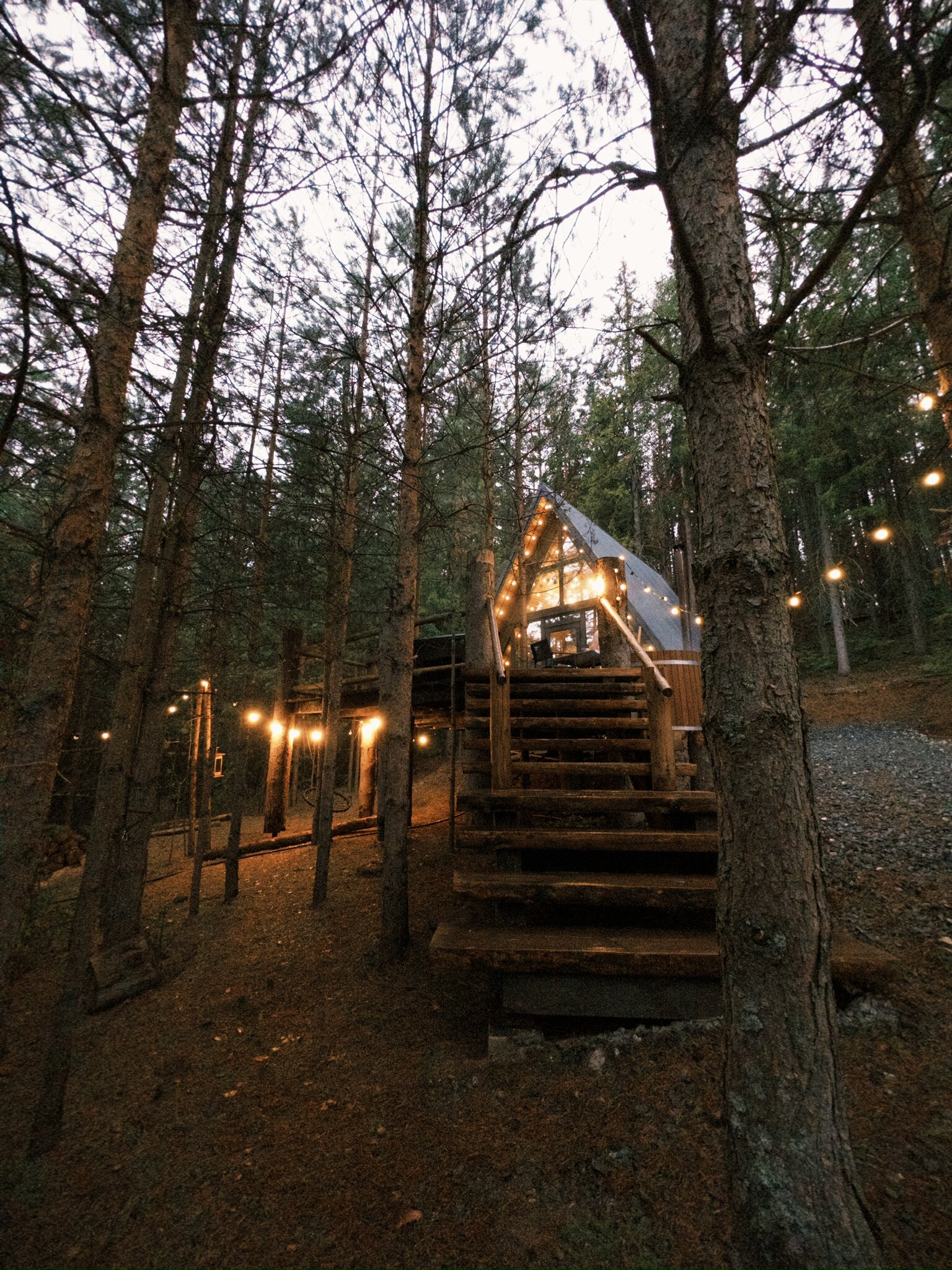 Фото Хвойная Хижина