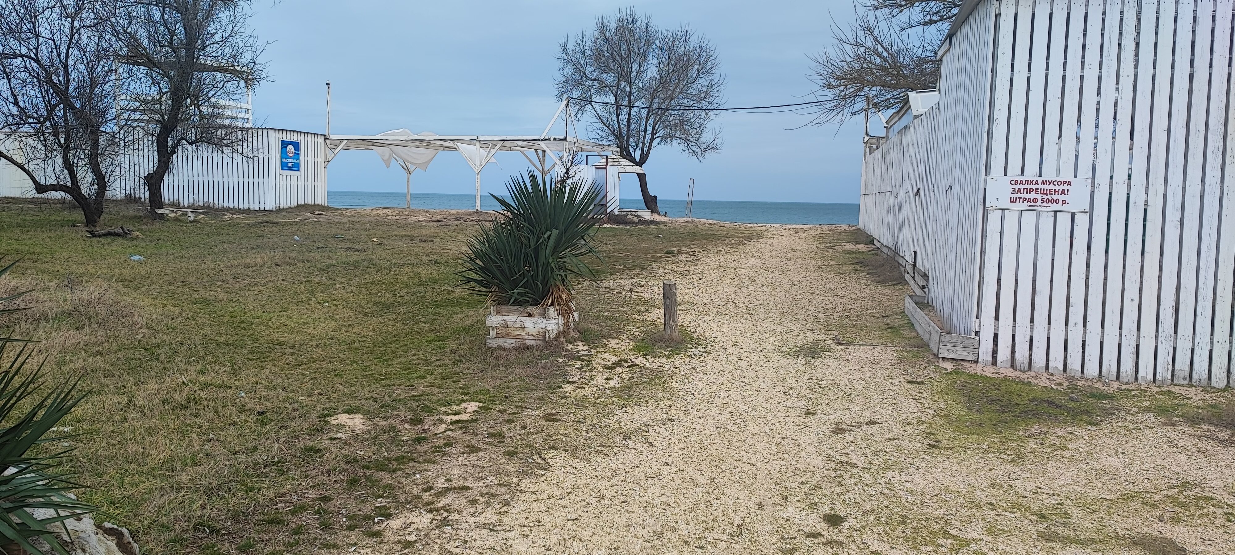 Фото Форест