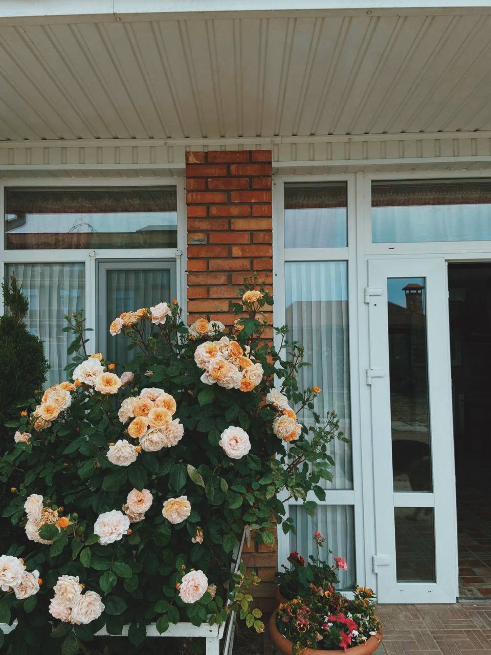 Фото Дом у моря