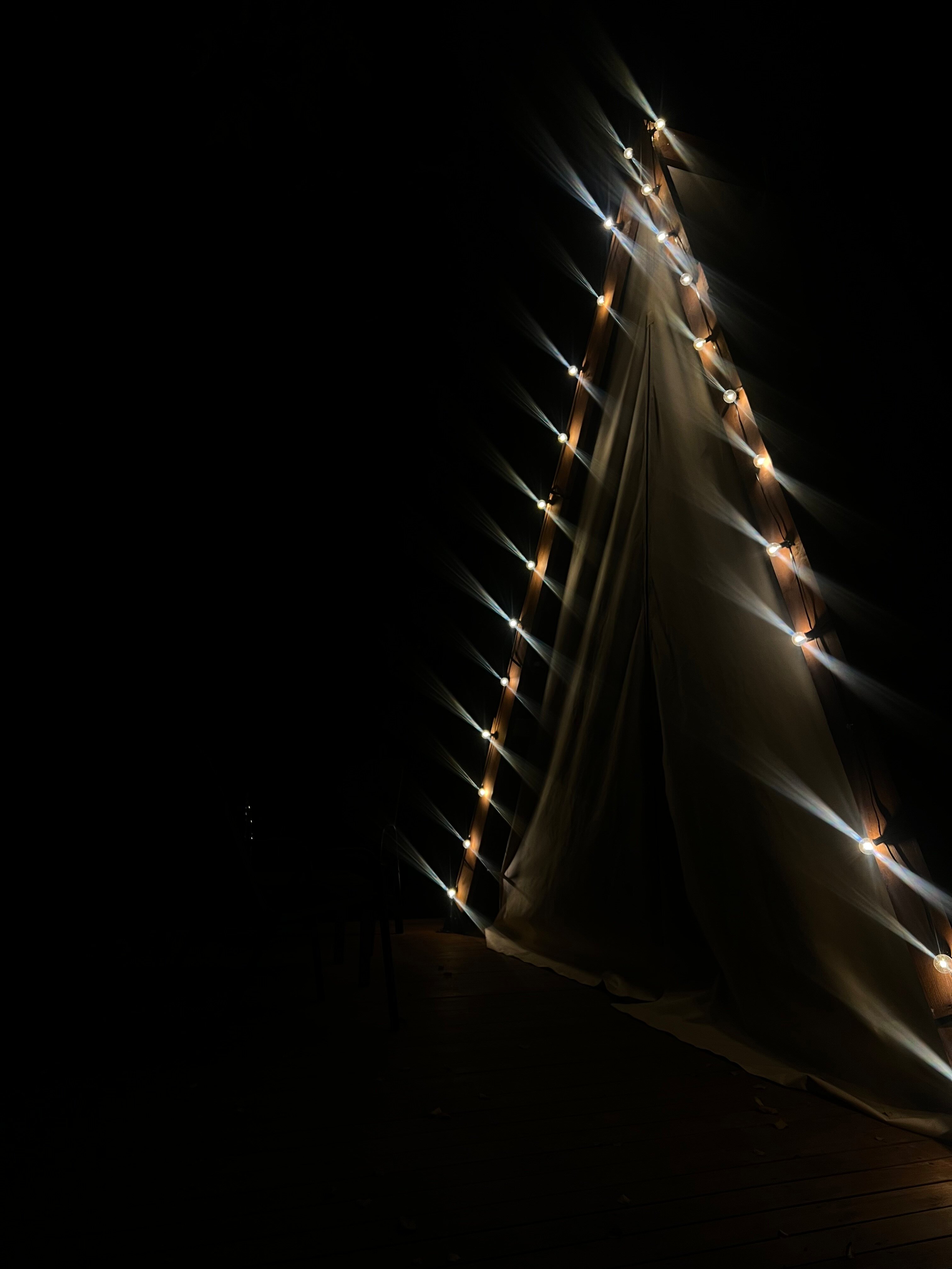 Фото Горный Енот