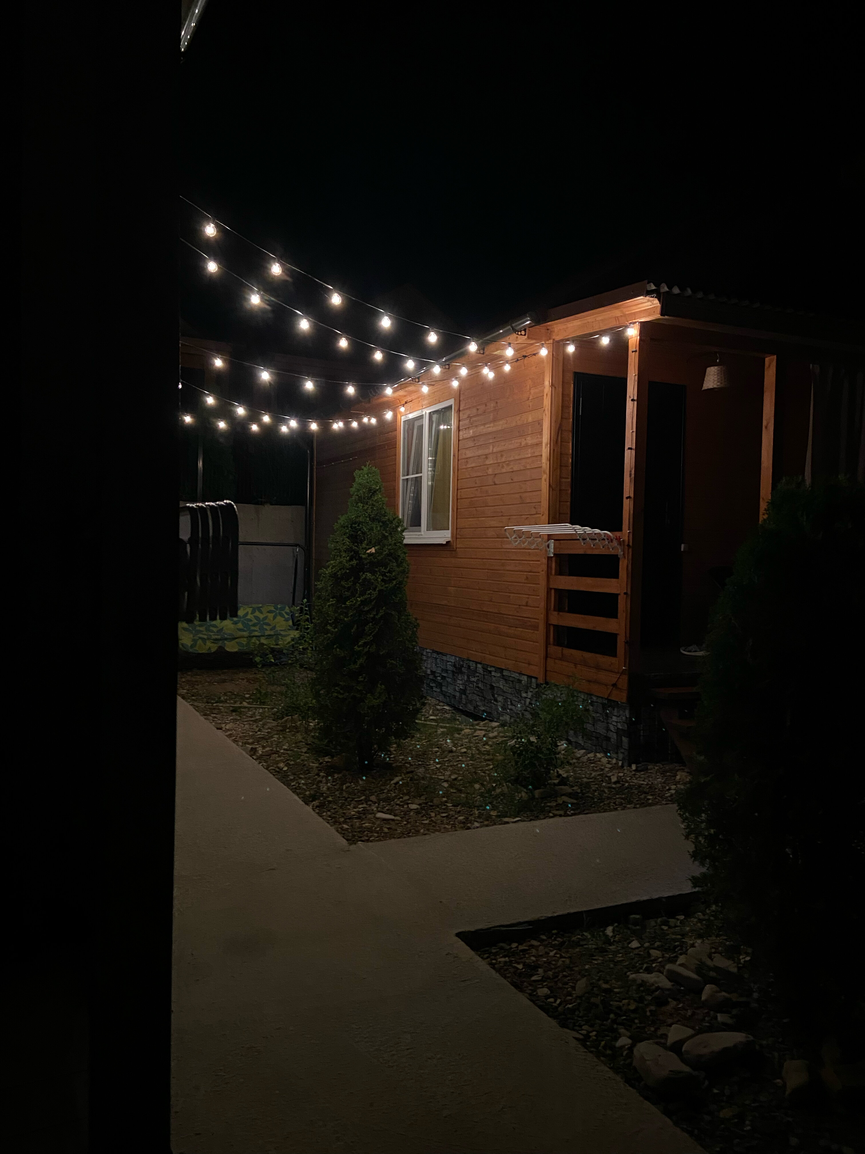 Фото Дельфин