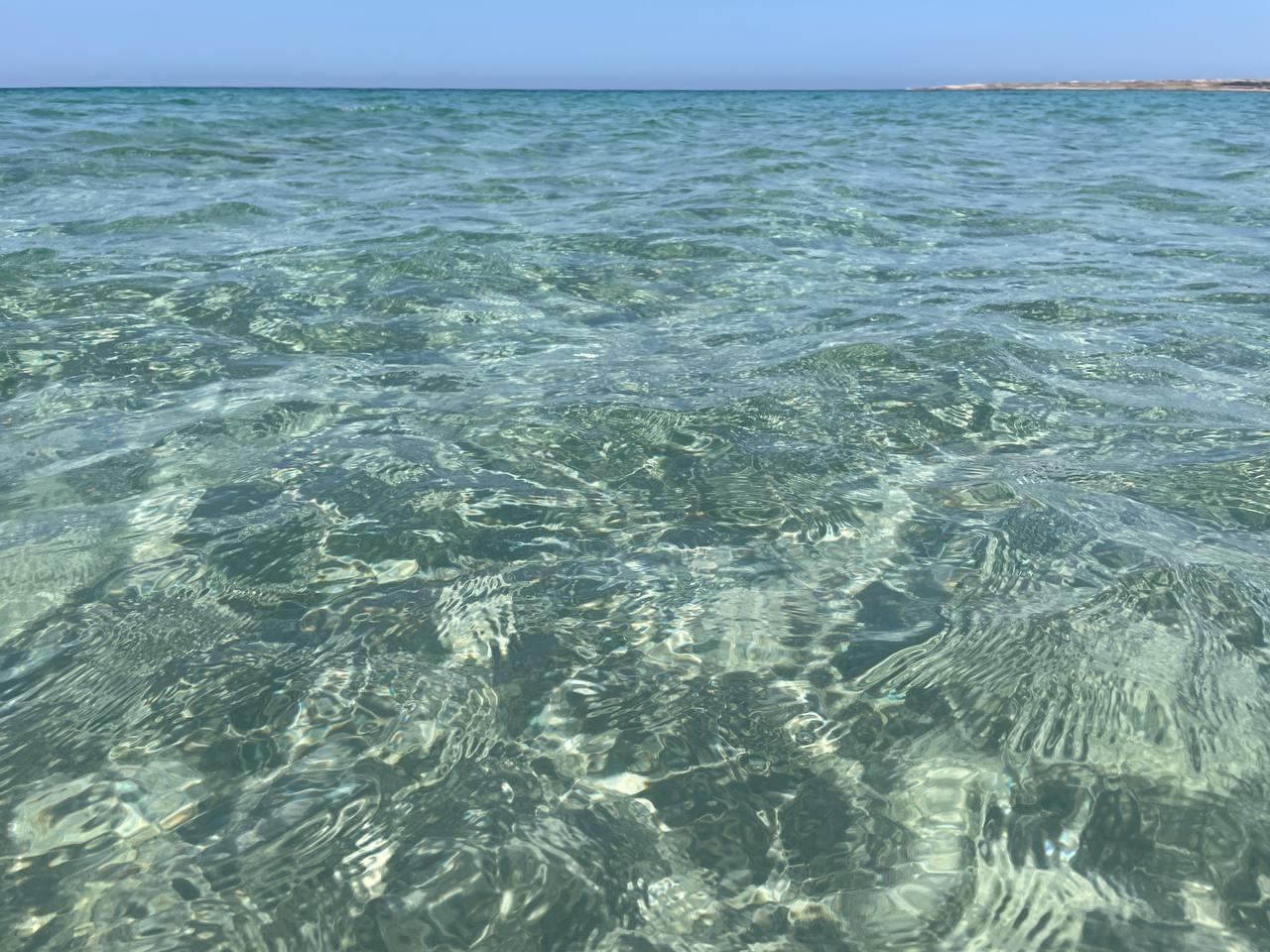 Фото Мирабель