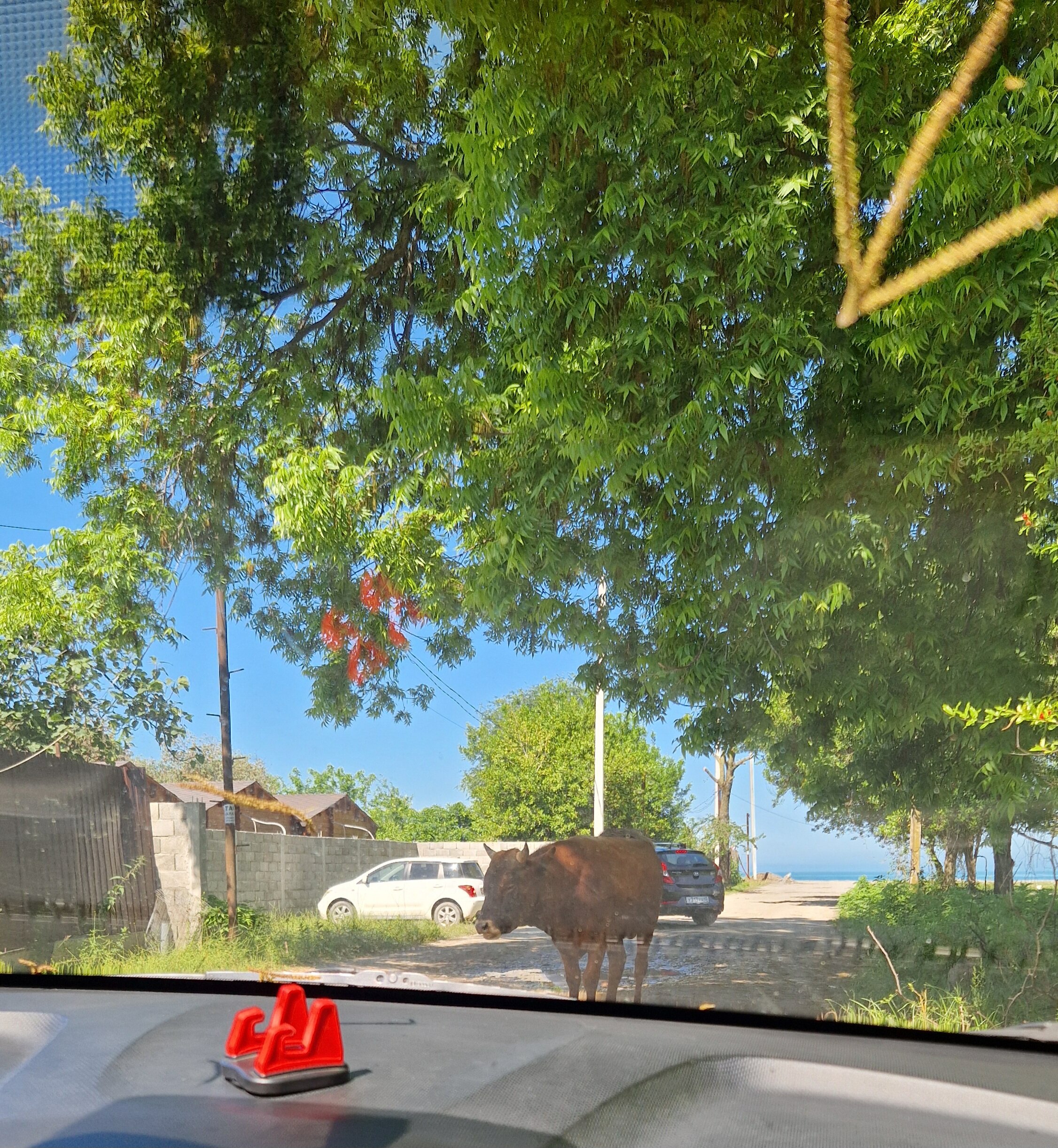 Фото Теремки