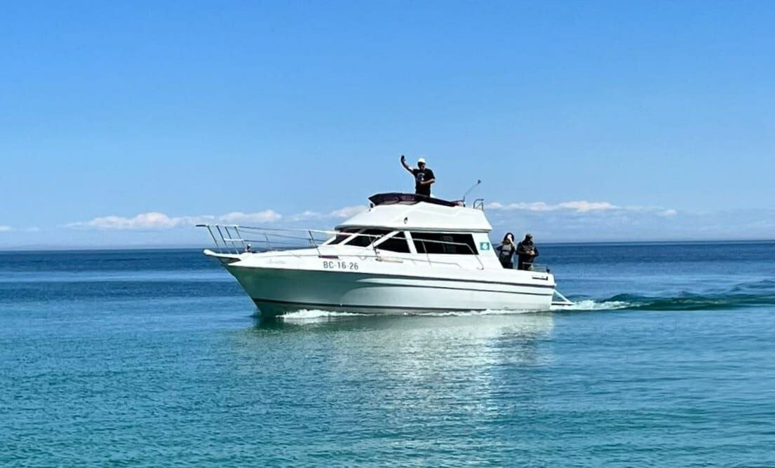 Фото Тэнгис