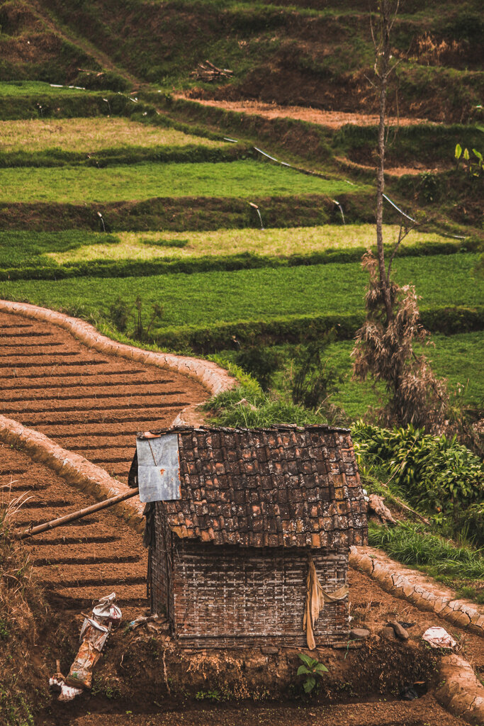 Landmark, attraction Agrowisata Telaga Madiredo, East Java, photo