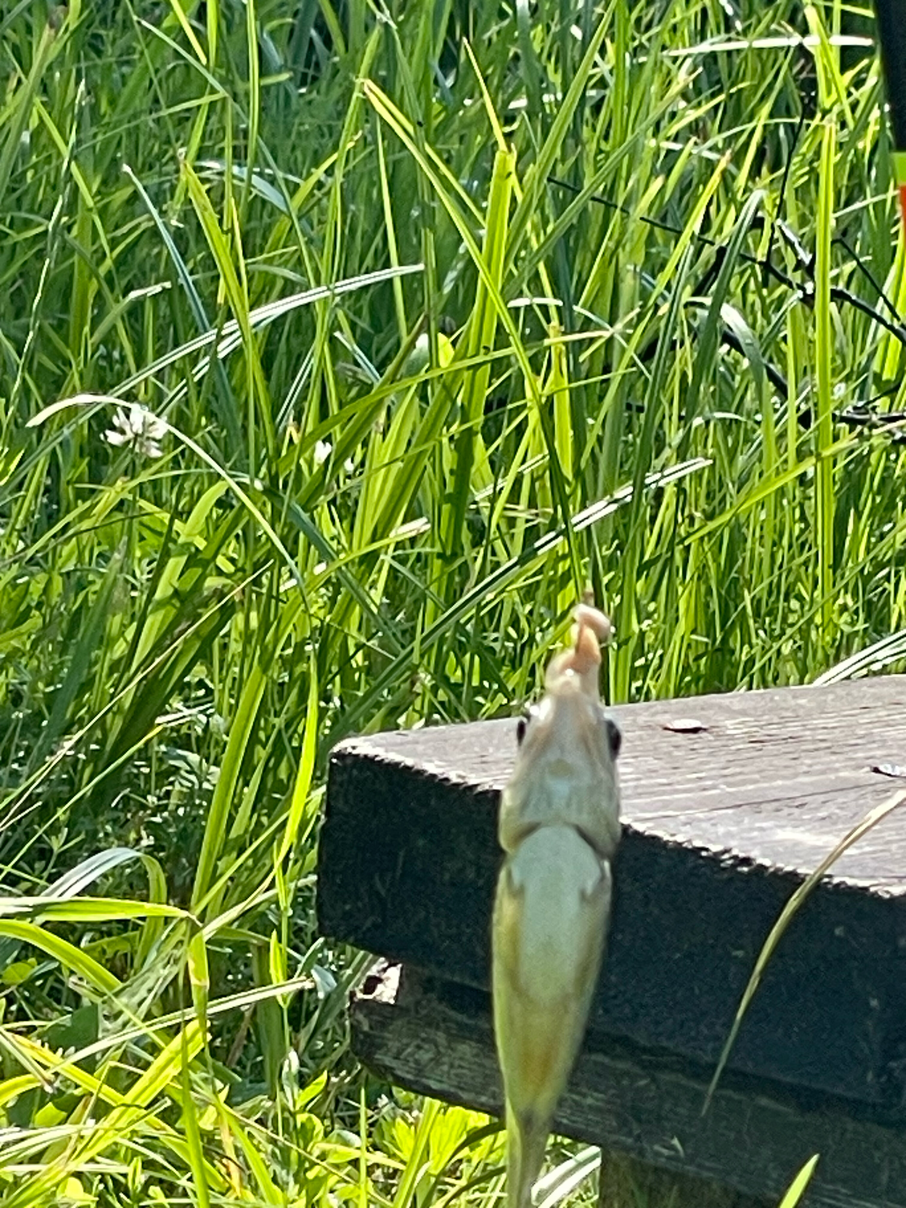 Фото Домики на озере