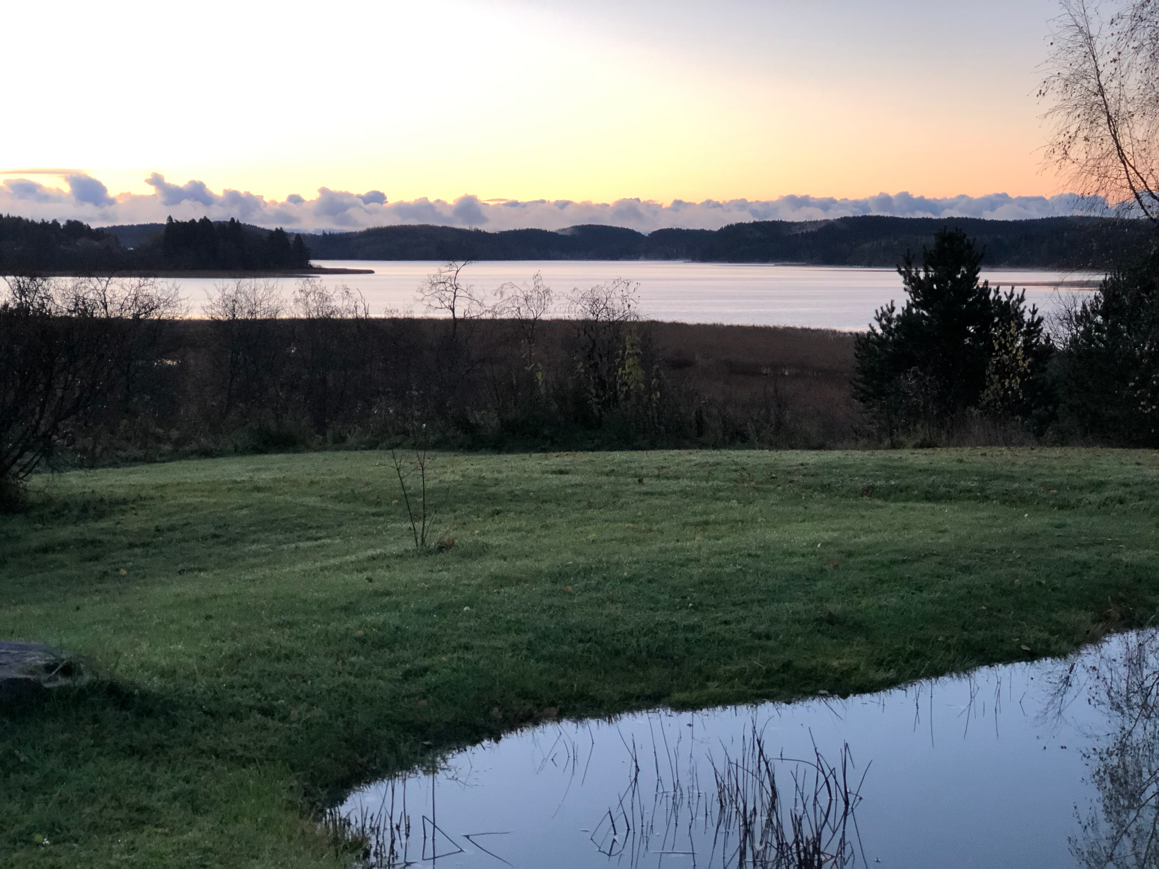 Фото Ярви Хаус