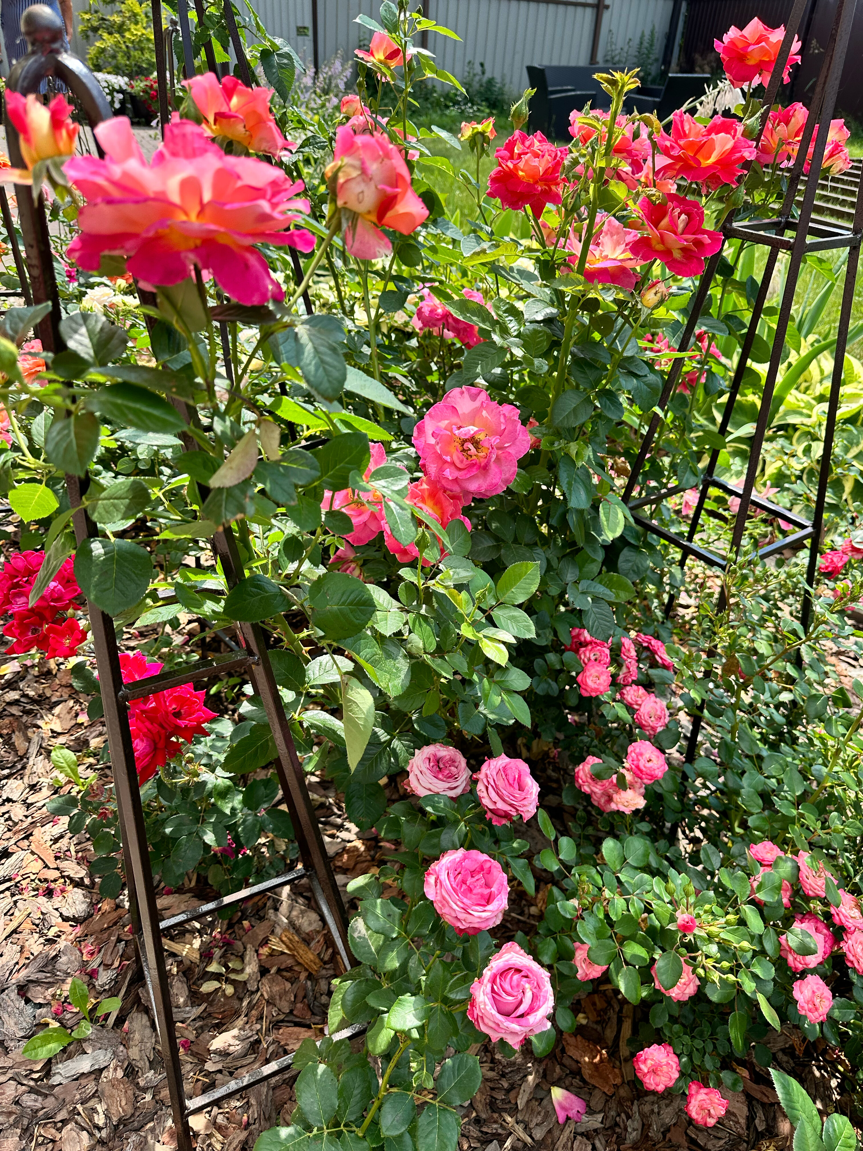 Фото Эстель