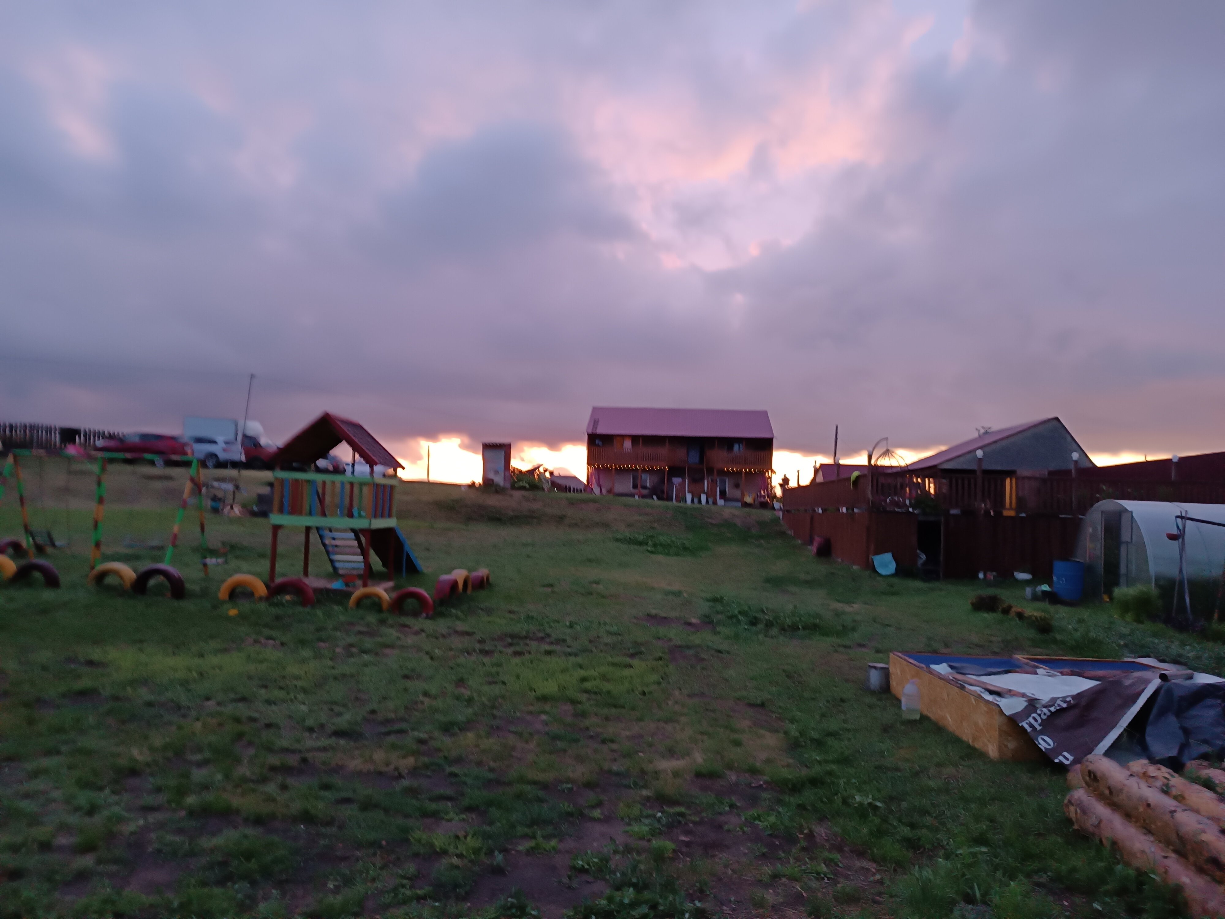 Фото Фламинго