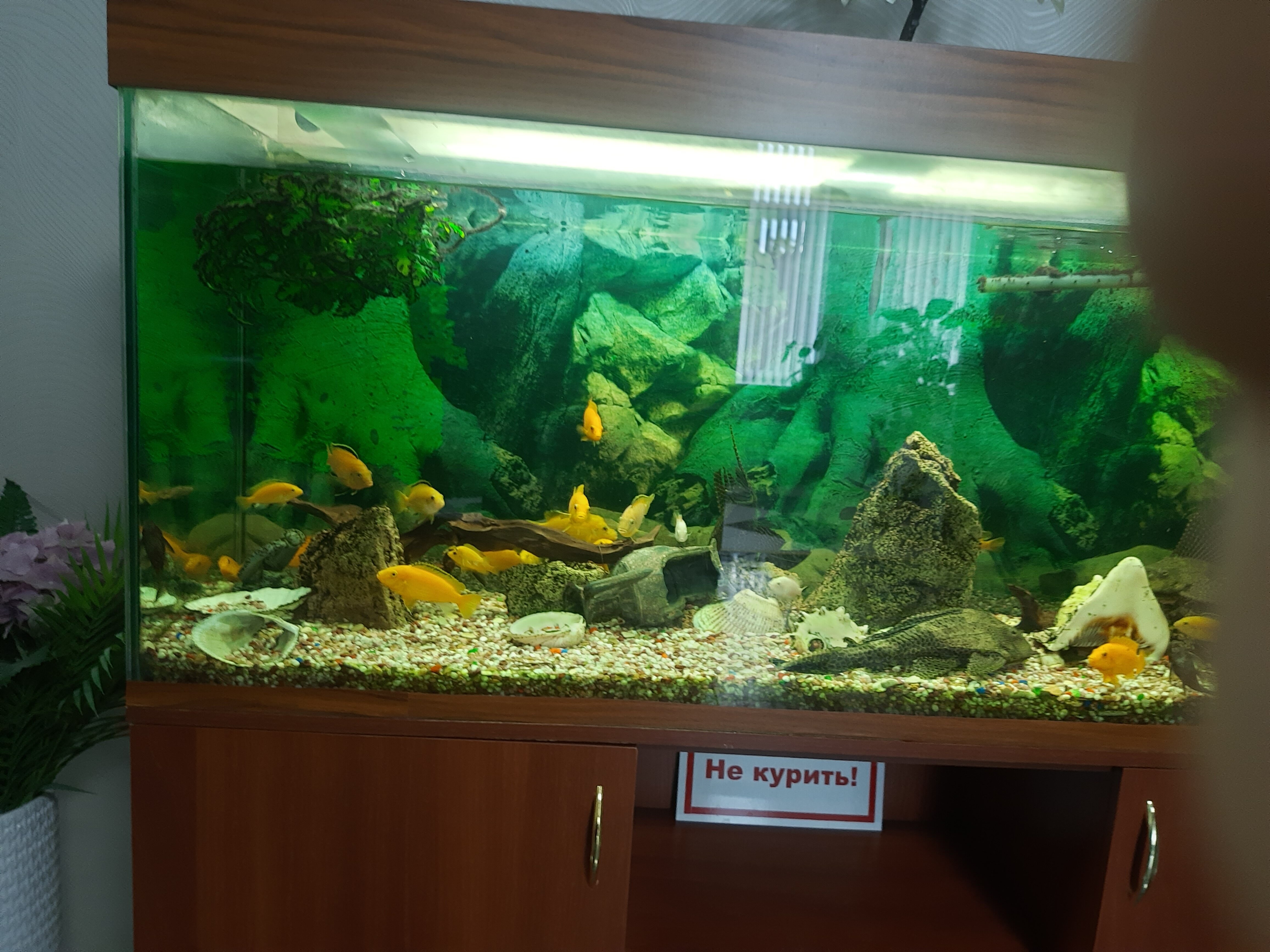 Фото Гостилицы