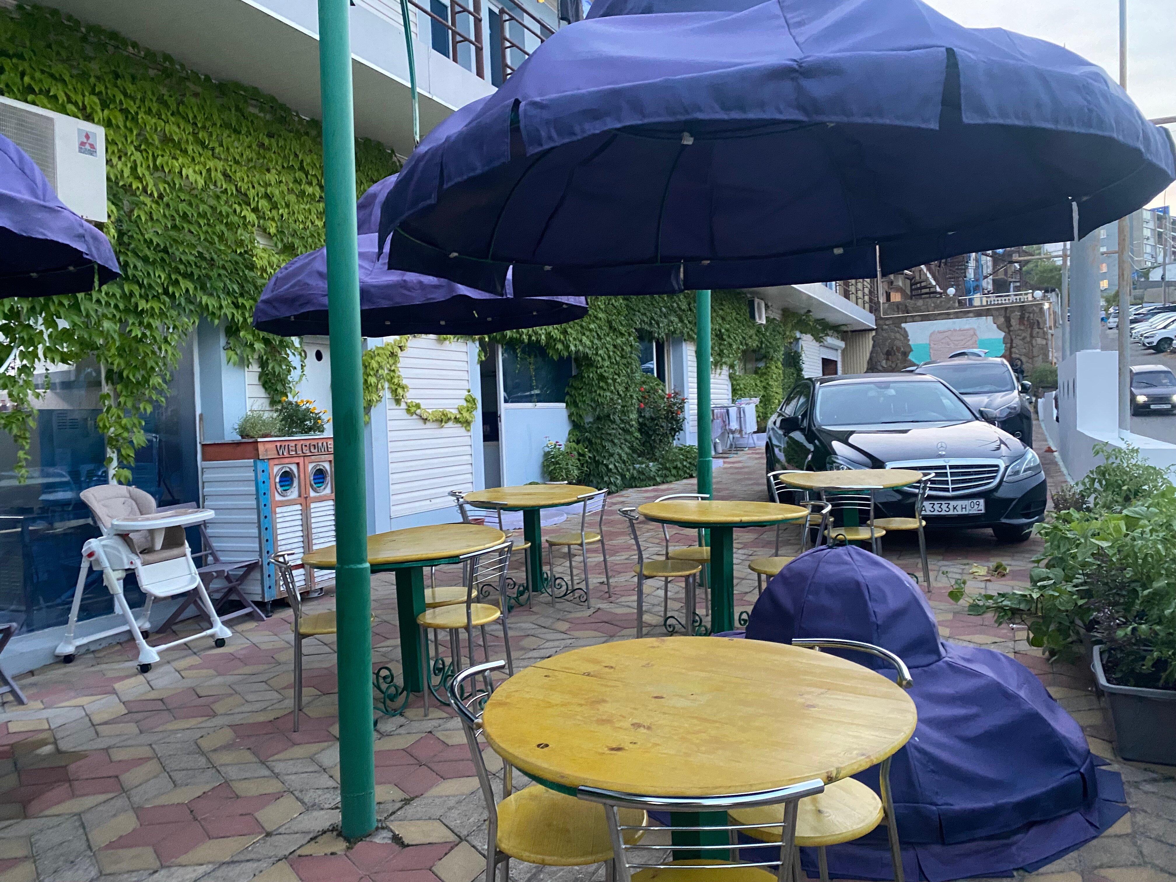 Фото Борсаак