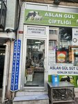 Aslan Gida (Istanbul, Fatih, Aksemseddin Neighborhood, Balipasa Avenue, 133A) ، متجر جزارة، ديلي